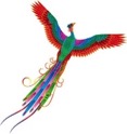Phoenix Club Logo